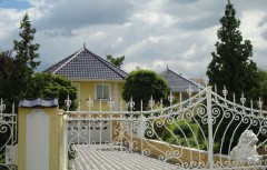 DSC05157
